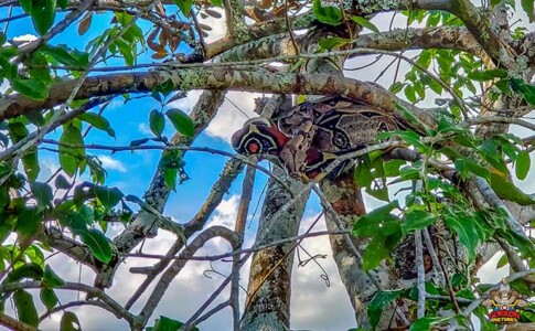 VIAJAR EN MOTO POR COLOMBIA - GUAVIARE VIAJAR EN MOTO POR COLOMBIA